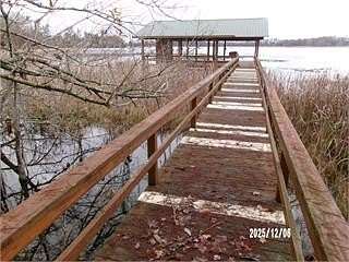 6 Acres of Land for Sale in Donalsonville, Georgia