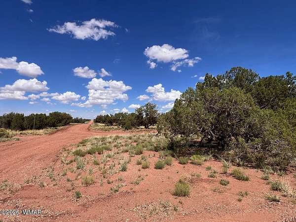 3.54 Acres of Residential Land for Sale in Snowflake, Arizona