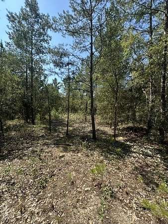 0.44 Acres of Residential Land for Sale in DeFuniak Springs, Florida