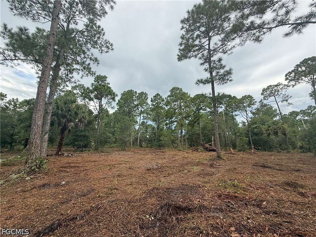 1 Acre of Land for Sale in Clewiston, Florida