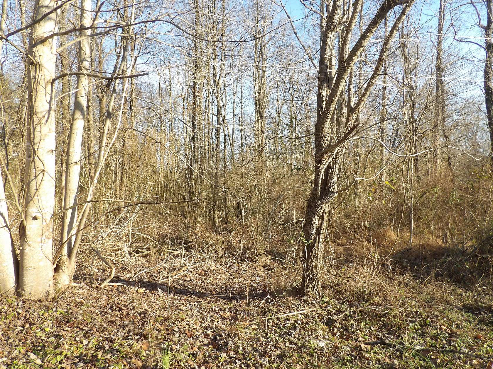 5.33 Acres of Residential Land for Sale in Middlesboro, Kentucky