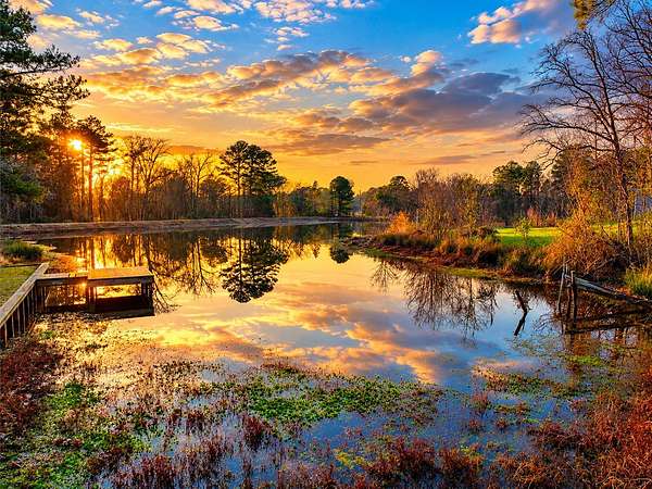 0.24 Acres of Residential Land for Sale in Quitman, Texas