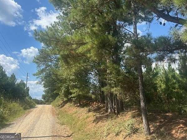 10.6 Acres of Land for Sale in Monticello, Georgia