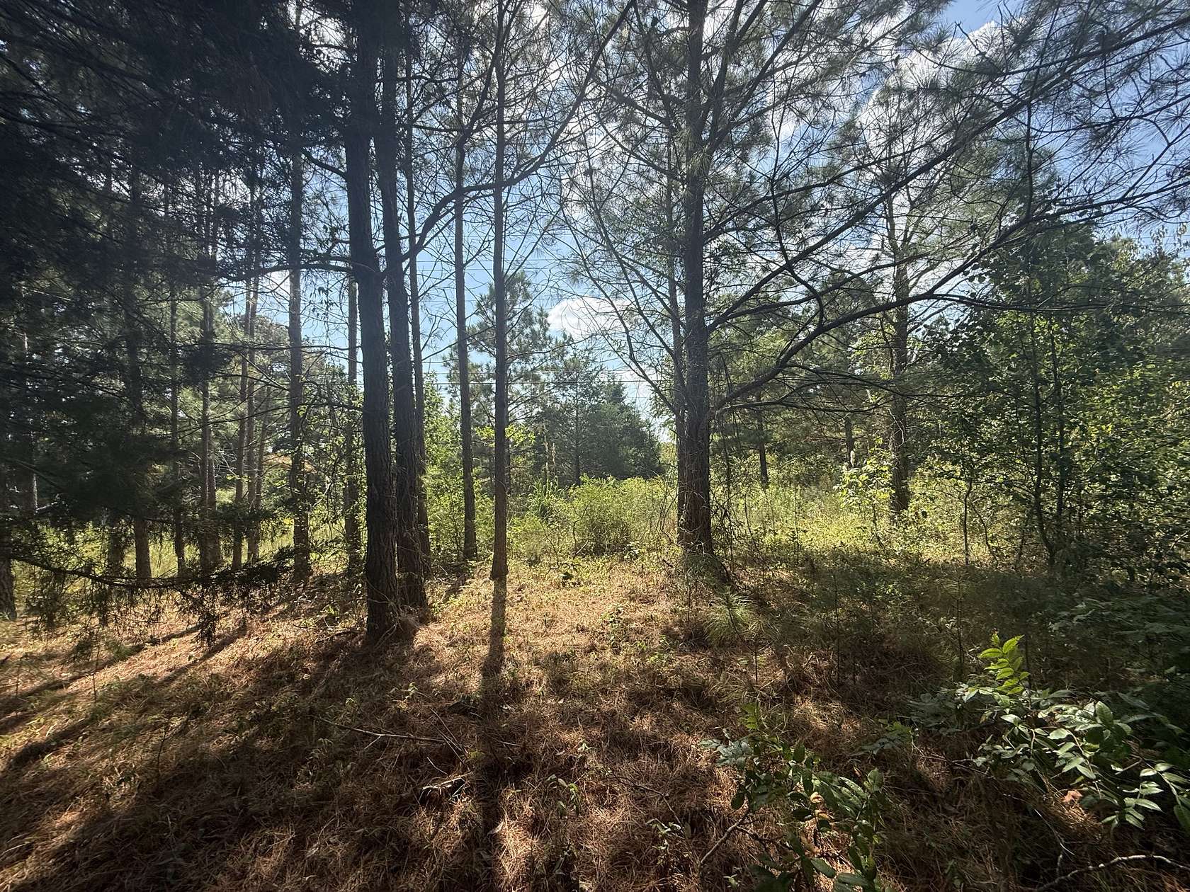 1.5 Acres of Residential Land for Sale in Southside, Tennessee