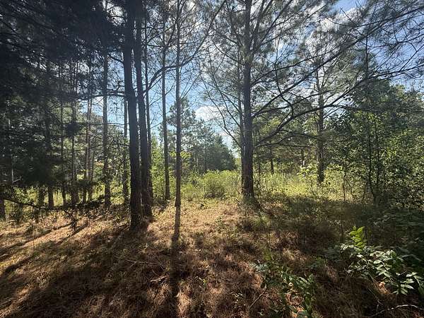 1.5 Acres of Residential Land for Sale in Southside, Tennessee