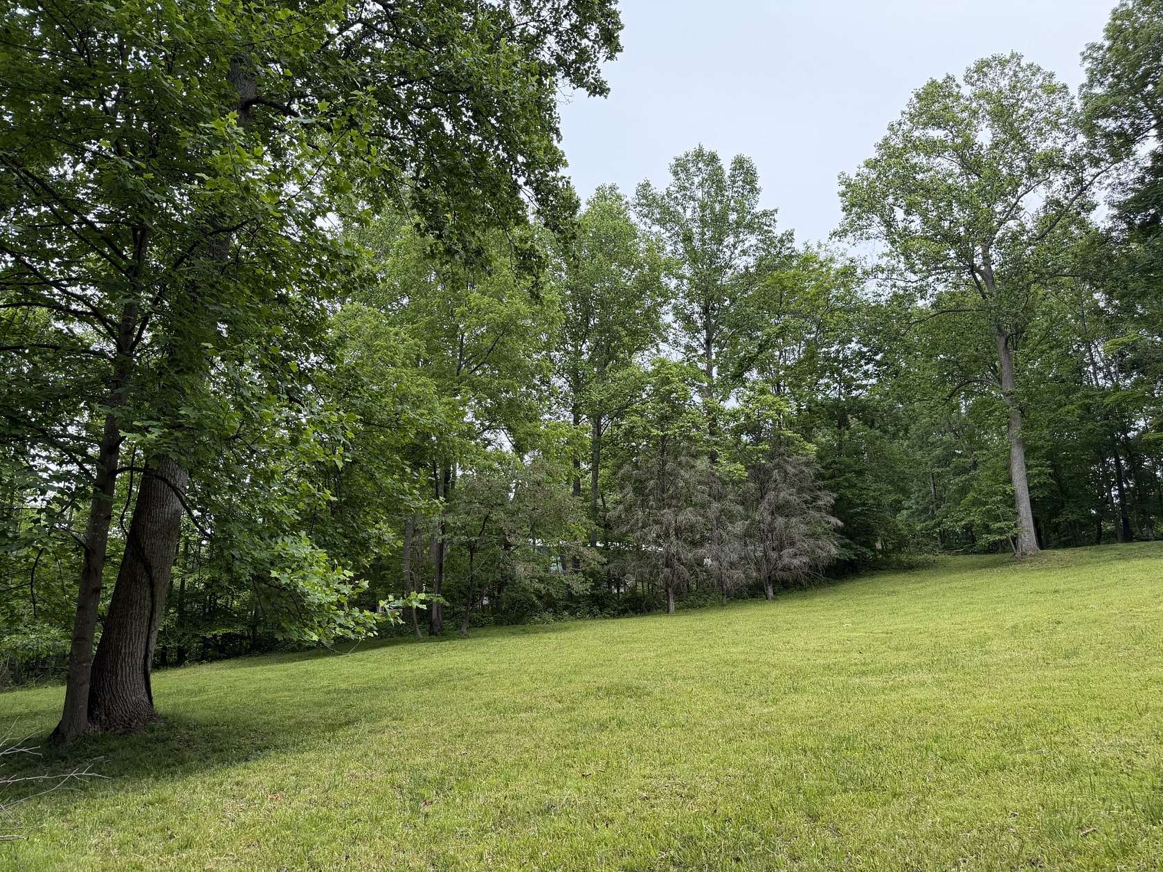 5 Acres of Residential Land for Sale in Hendersonville, Tennessee
