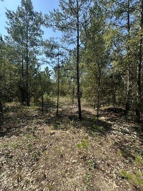 0.22 Acres of Residential Land for Sale in DeFuniak Springs, Florida