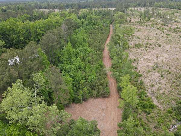 14 Acres of Recreational & Residential Land for Sale in Islandton, South Carolina