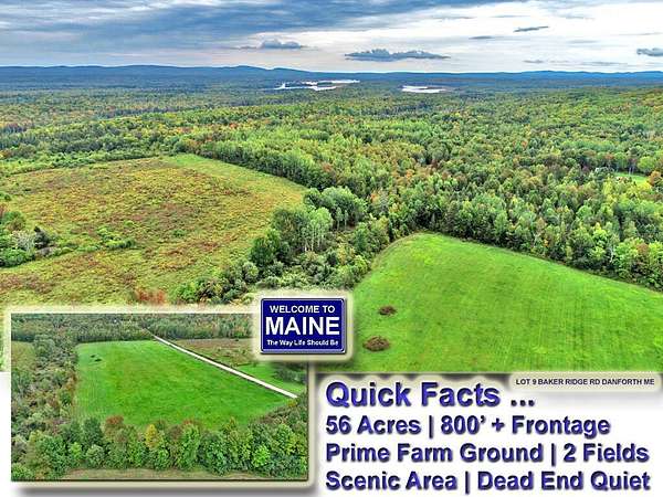 56 Acres of Land for Sale in Danforth, Maine