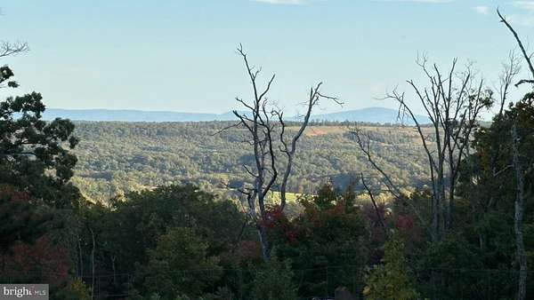 0.46 Acres of Residential Land for Sale in Winchester, Virginia