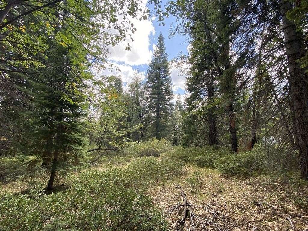 2.5 Acres of Residential Land for Sale in McCloud, California