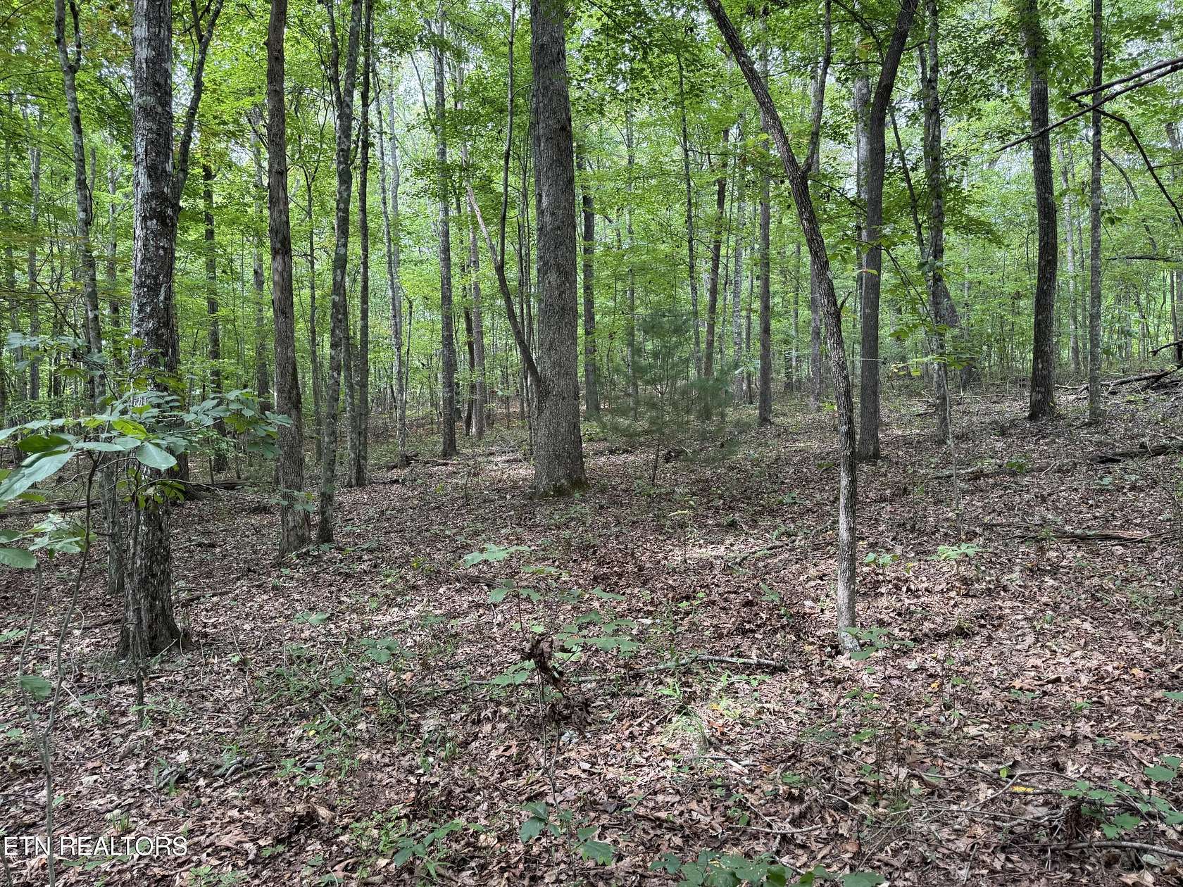 5.43 Acres of Residential Land for Sale in Jamestown, Tennessee