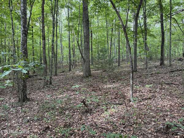 5.43 Acres of Residential Land for Sale in Jamestown, Tennessee
