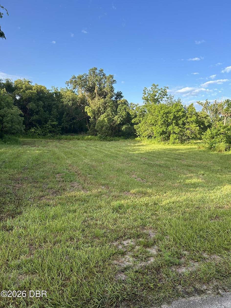 11.2 Acres of Agricultural Land for Sale in Oak Hill, Florida