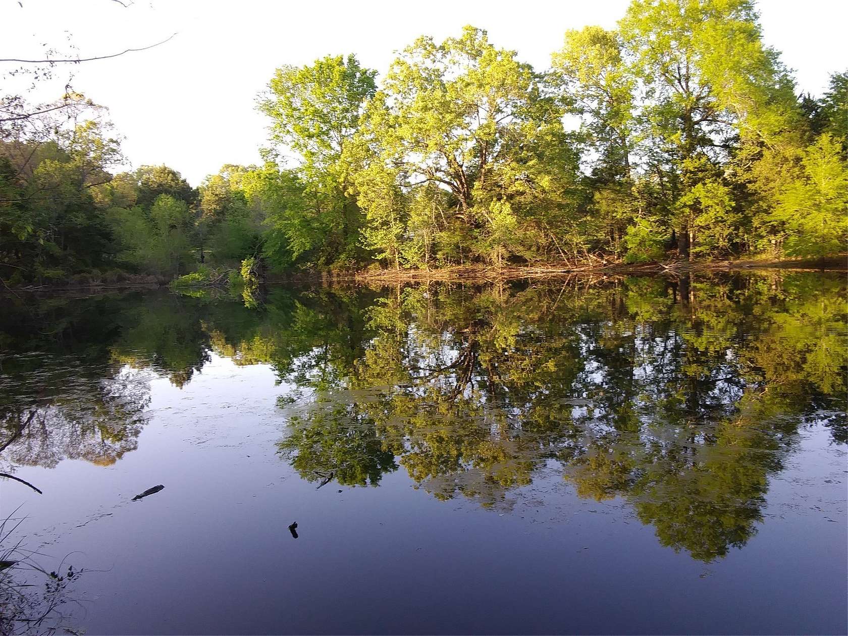 17.7 Acres of Land for Sale in Paris, Texas