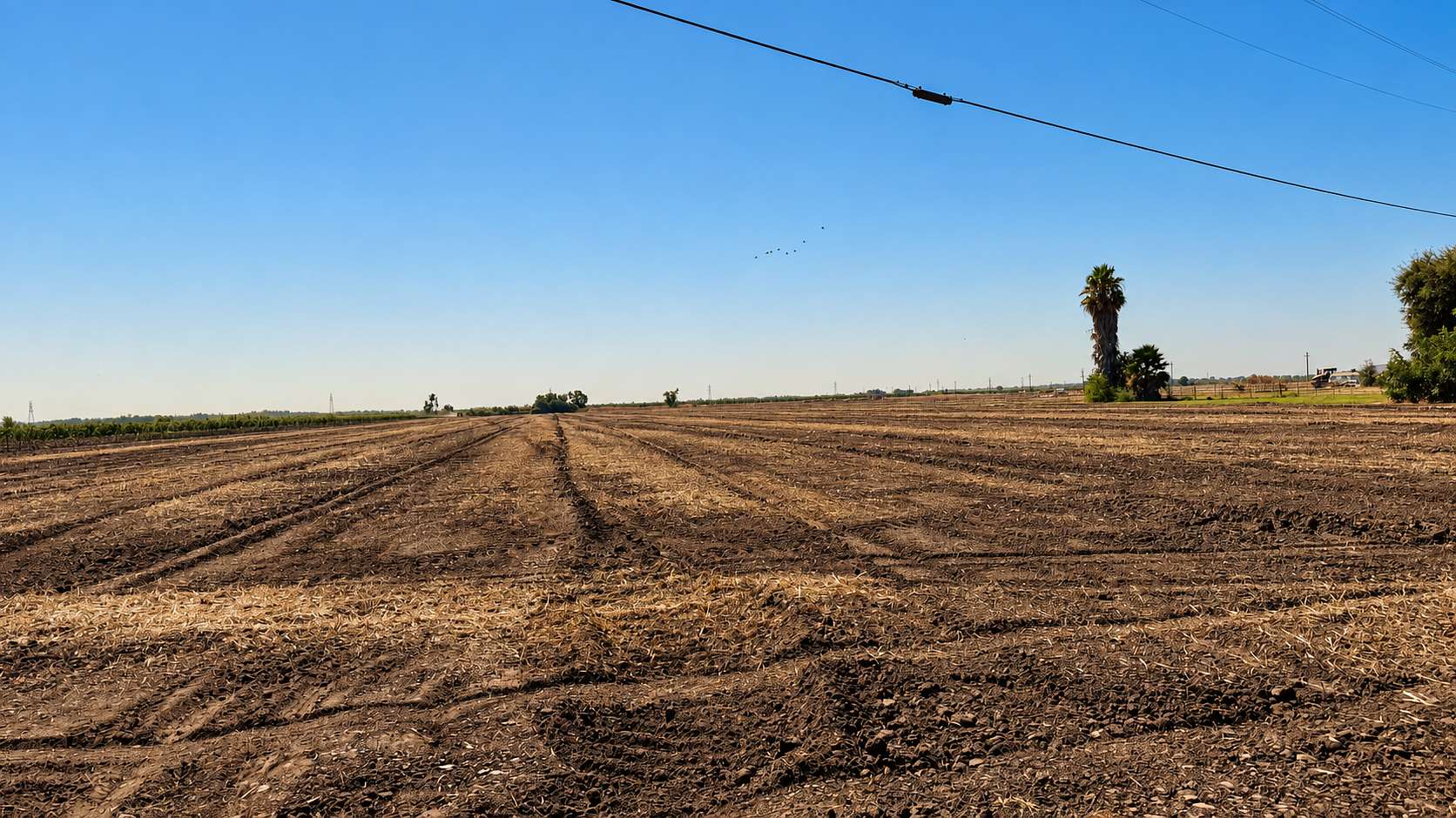 20 Acres of Agricultural & Residential Land for Sale in Clarksburg, California