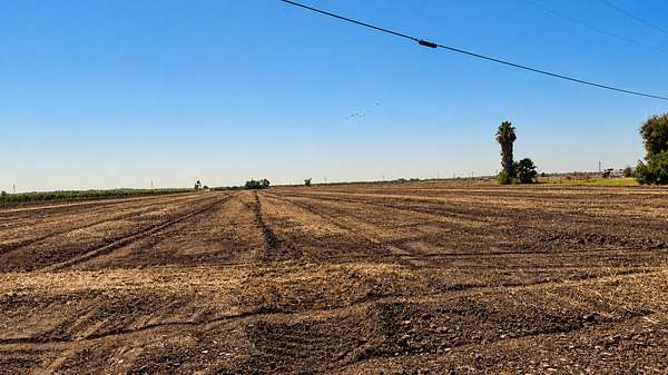 20 Acres of Agricultural & Residential Land for Sale in Clarksburg, California