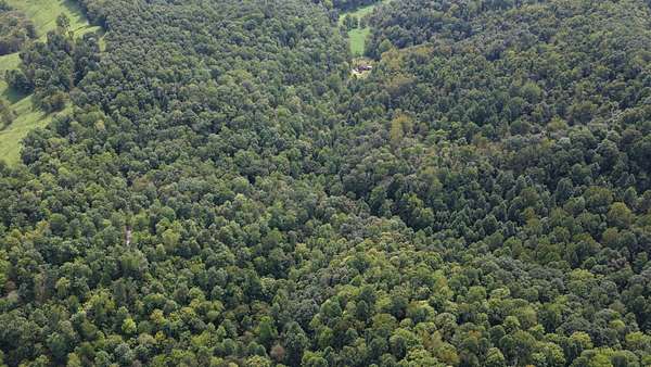 41.1 Acres of Recreational Land for Sale in Coxs Mills, West Virginia