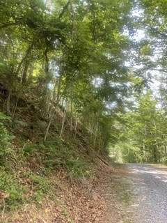 2.89 Acres of Residential Land for Sale in Sevierville, Tennessee
