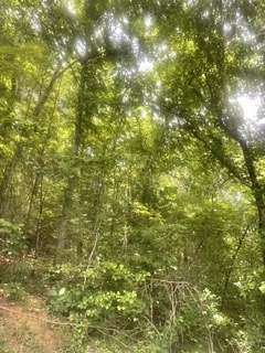 2 Acres of Residential Land for Sale in Sevierville, Tennessee