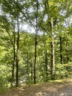 2 Acres of Residential Land for Sale in Sevierville, Tennessee