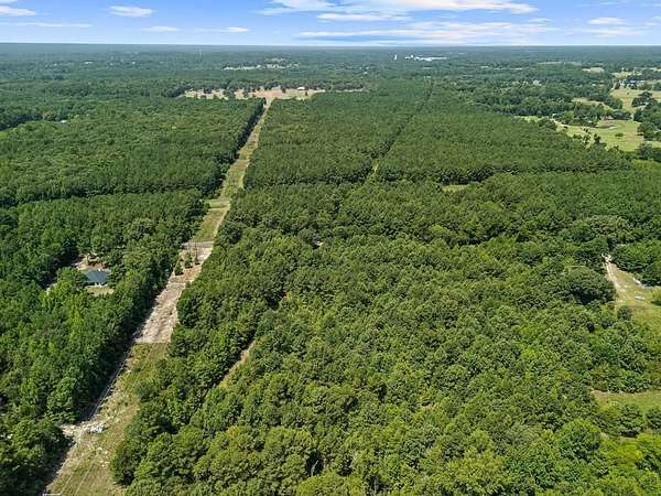 3.18 Acres of Residential Land for Sale in Big Sandy, Texas