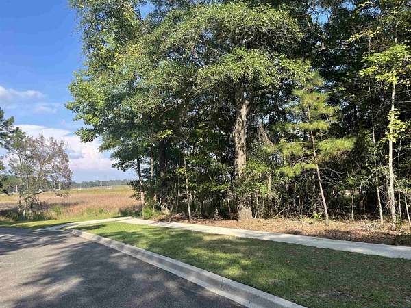 0.31 Acres of Residential Land for Sale in Georgetown, South Carolina