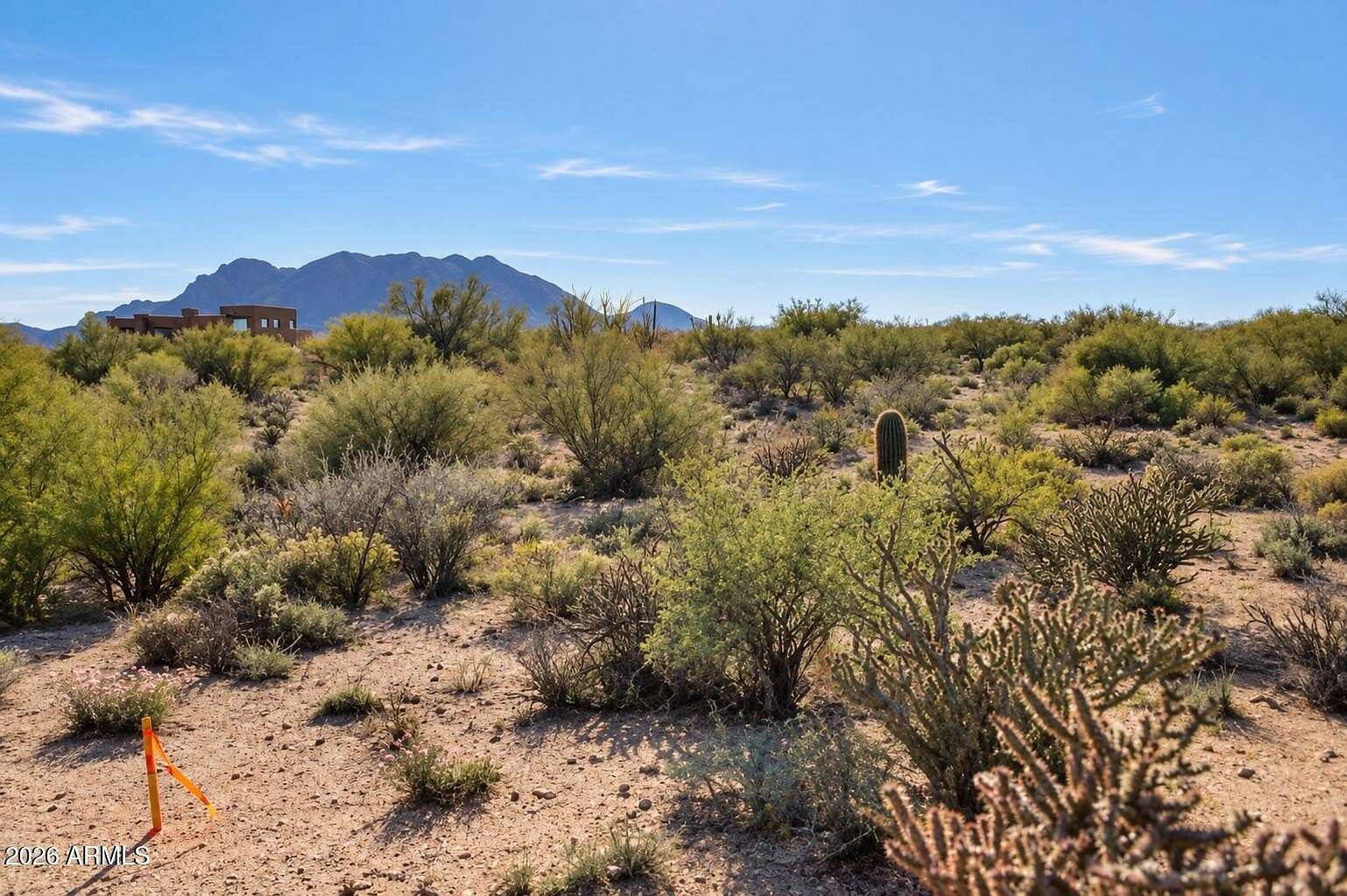 1.25 Acres of Residential Land for Sale in Scottsdale, Arizona