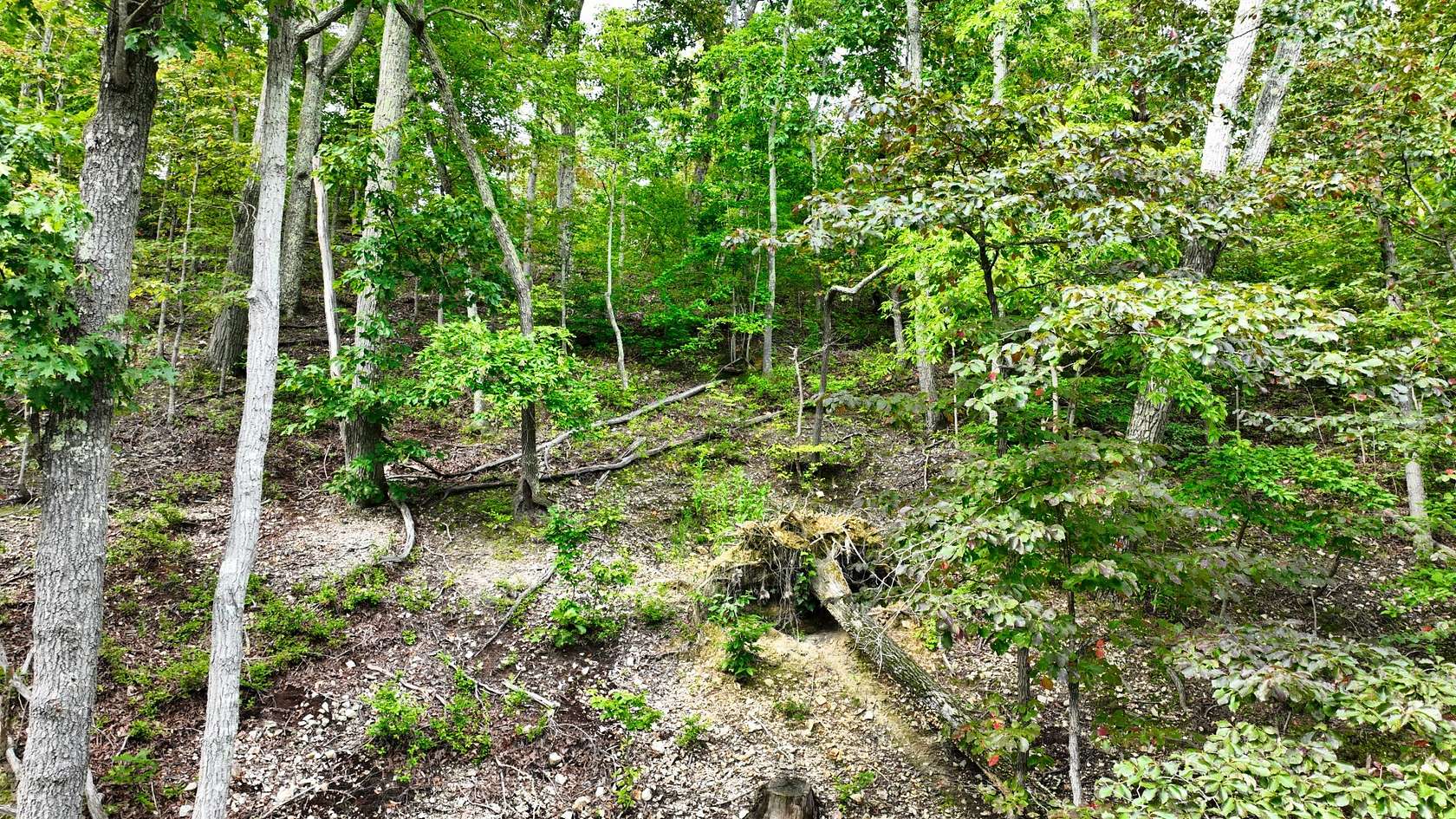 10 Acres of Recreational & Residential Land for Sale in Stewart, Tennessee