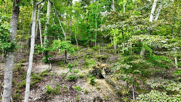 10 Acres of Recreational & Residential Land for Sale in Stewart, Tennessee
