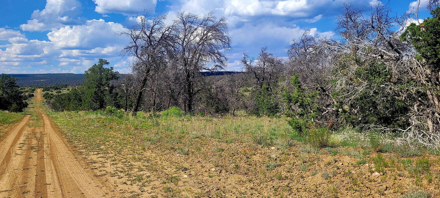 2.5 Acres of Residential Land for Sale in Ramah, New Mexico