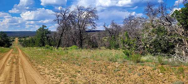 2.5 Acres of Residential Land for Sale in Ramah, New Mexico