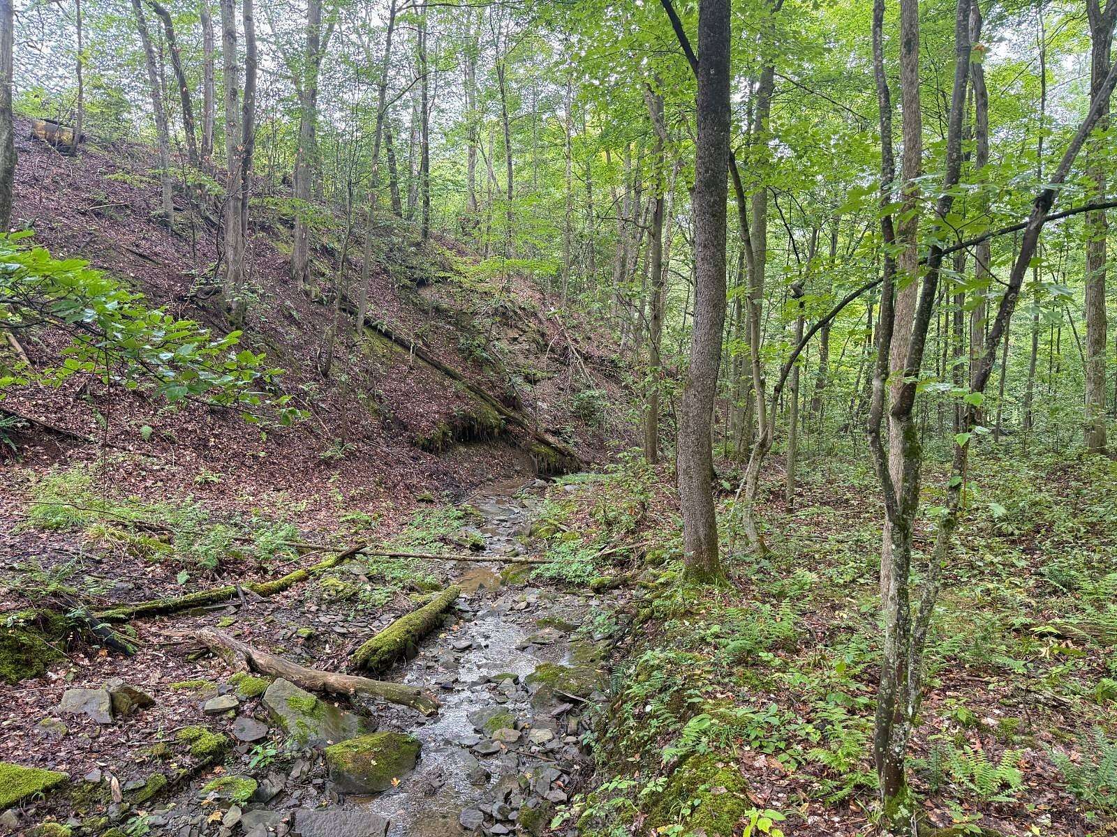 35 Acres of Recreational & Residential Land for Sale in Sugar Grove, Pennsylvania
