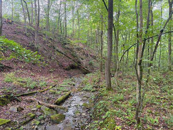 35 Acres of Recreational & Residential Land for Sale in Sugar Grove, Pennsylvania