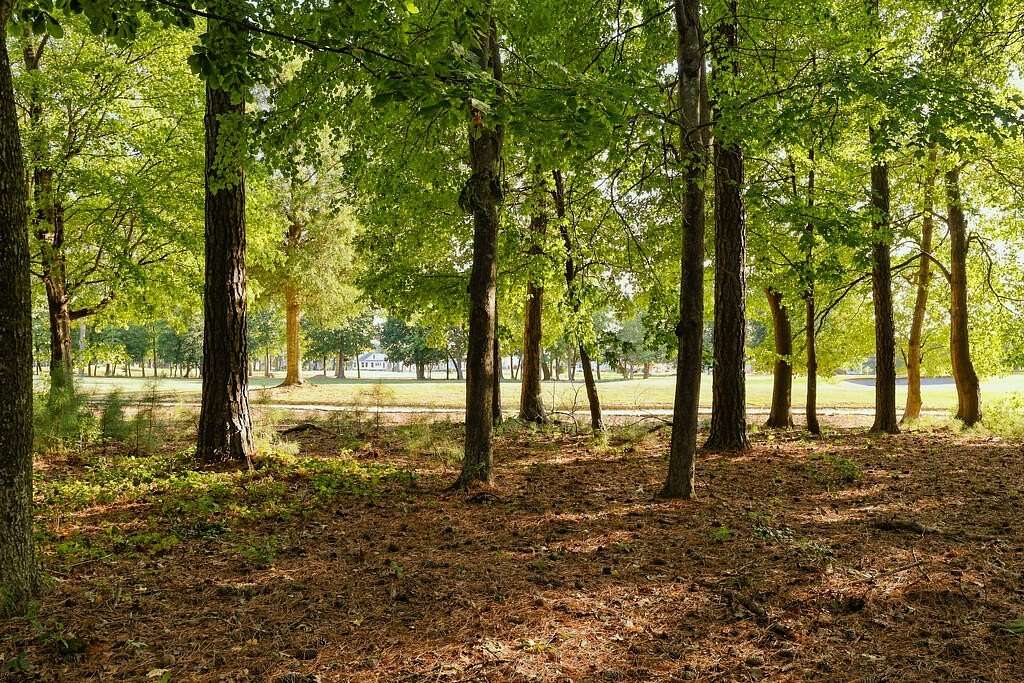 0.16 Acres of Land for Sale in Cape Charles, Virginia