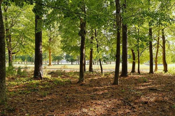 0.16 Acres of Land for Sale in Cape Charles, Virginia