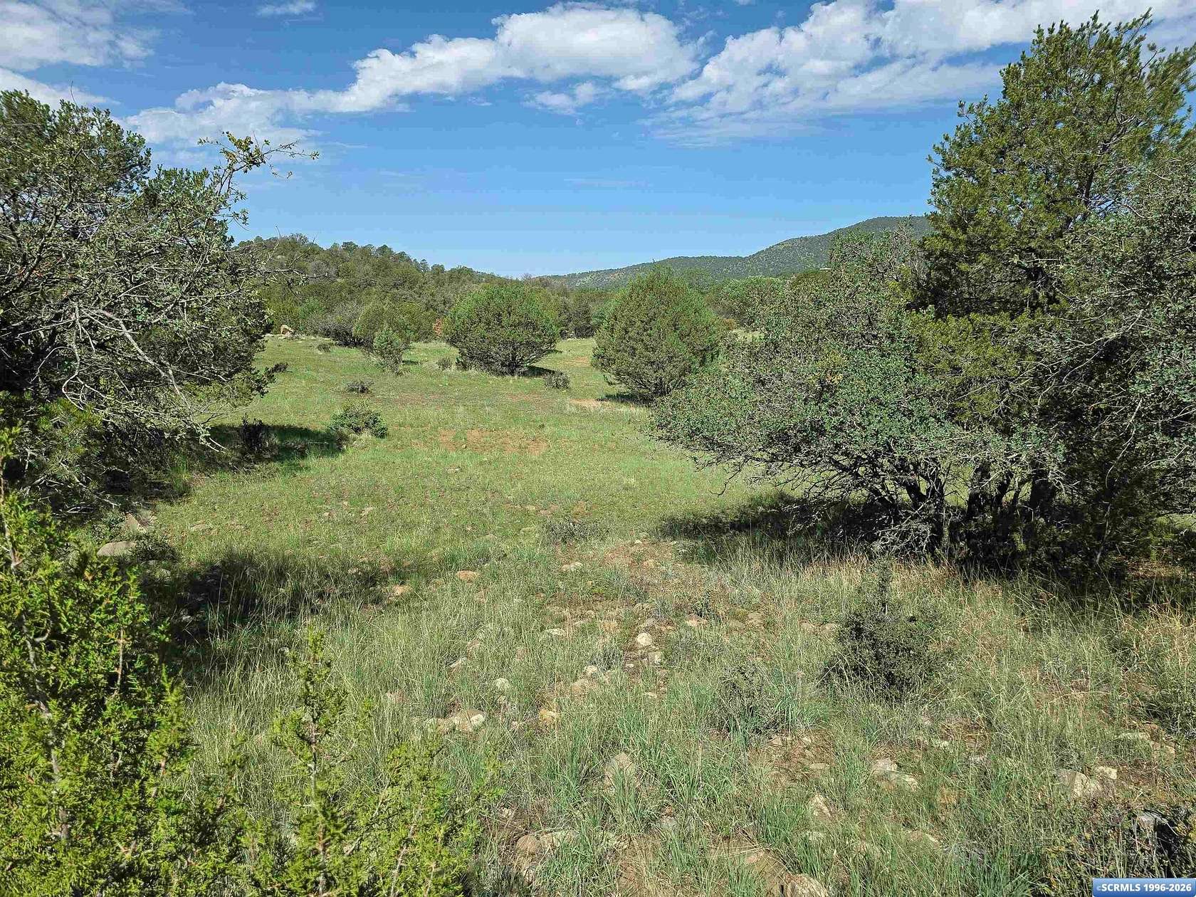 24.8 Acres of Recreational Land for Sale in Silver City, New Mexico