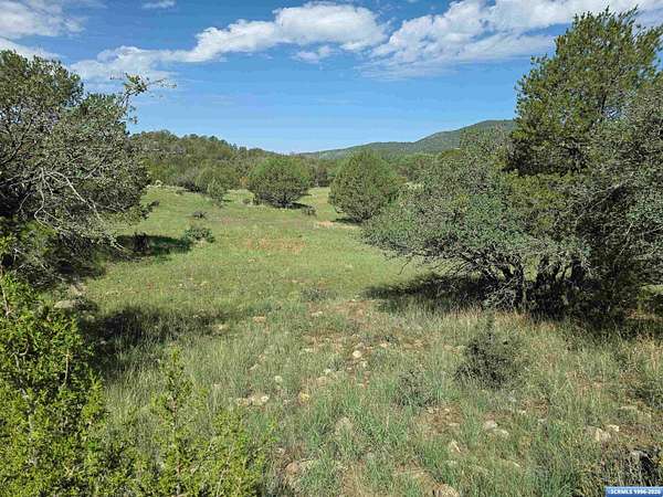 24.8 Acres of Recreational Land for Sale in Silver City, New Mexico