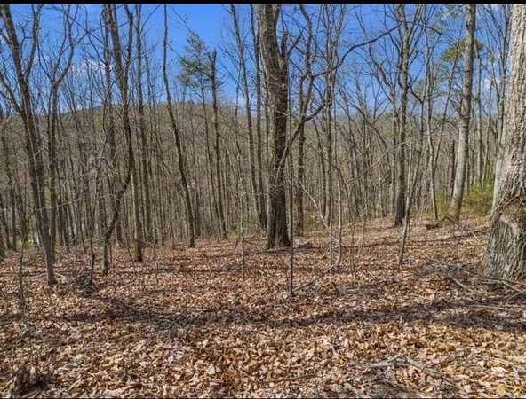 0.59 Acres of Residential Land for Sale in Newport, Tennessee