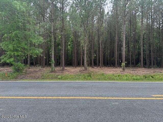 1.19 Acres of Residential Land for Sale in Ernul, North Carolina