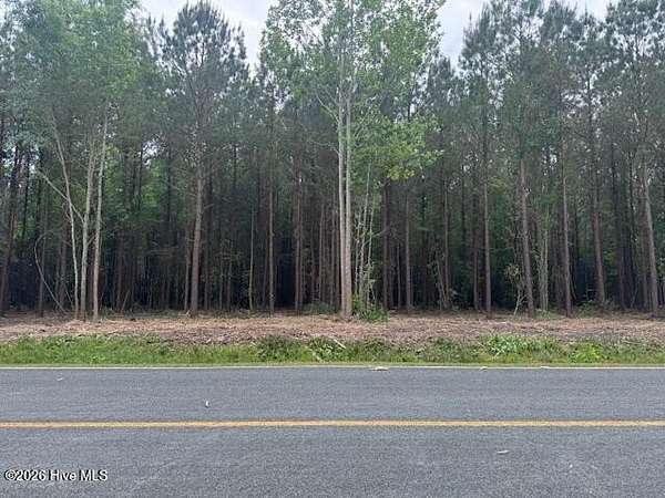 3.17 Acres of Residential Land for Sale in Ernul, North Carolina