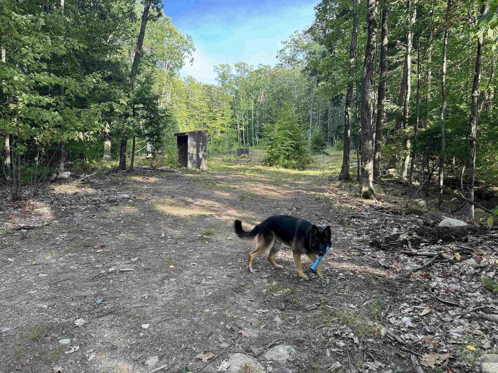 6.1 Acres of Residential Land for Sale in Ossipee, New Hampshire