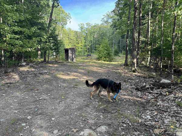 6.1 Acres of Residential Land for Sale in Ossipee, New Hampshire
