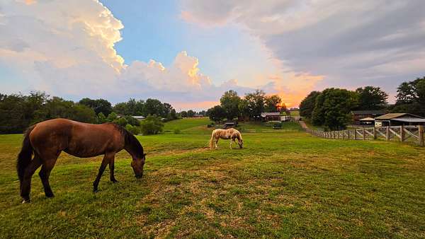 5 Acres of Land with Home for Sale in Lebanon, Tennessee