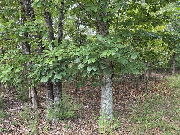 1.59 Acres of Residential Land for Sale in Hardy, Virginia