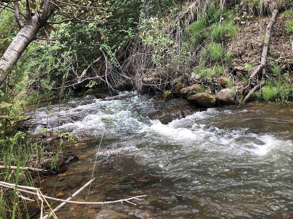 44.5 Acres of Recreational Land for Sale in Paonia, Colorado