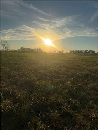 5 Acres of Residential Land for Sale in Lead Hill, Arkansas