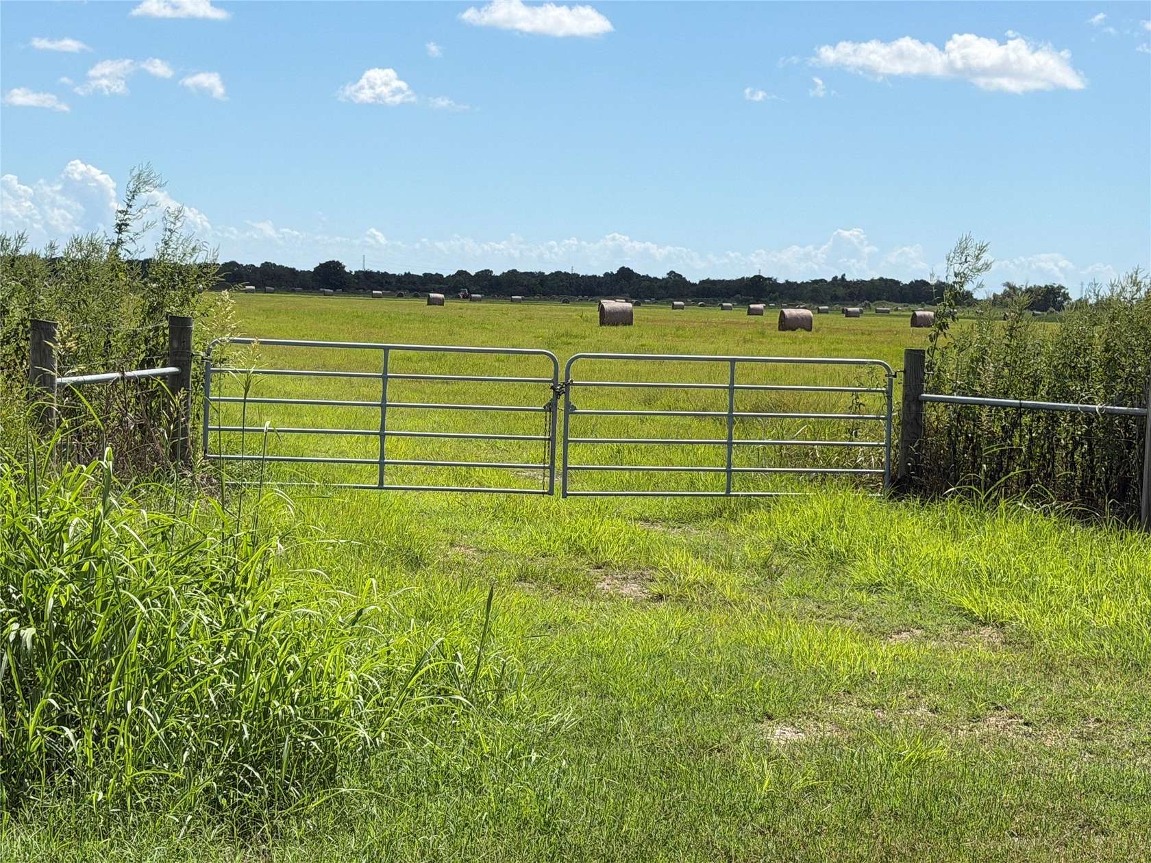 79 Acres of Land for Sale in Alvin, Texas