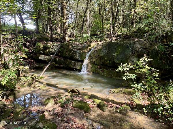 50 Acres of Land for Sale in Sneedville, Tennessee