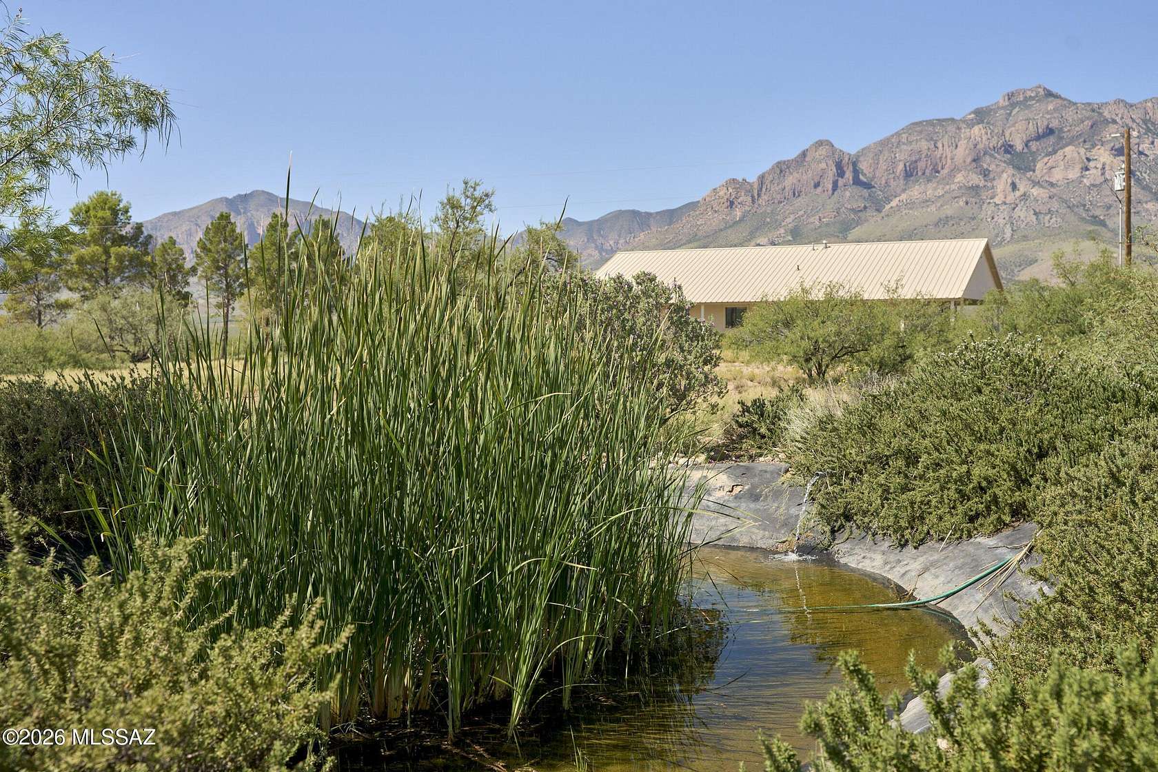 38.6 Acres of Recreational Land with Home for Sale in Portal, Arizona